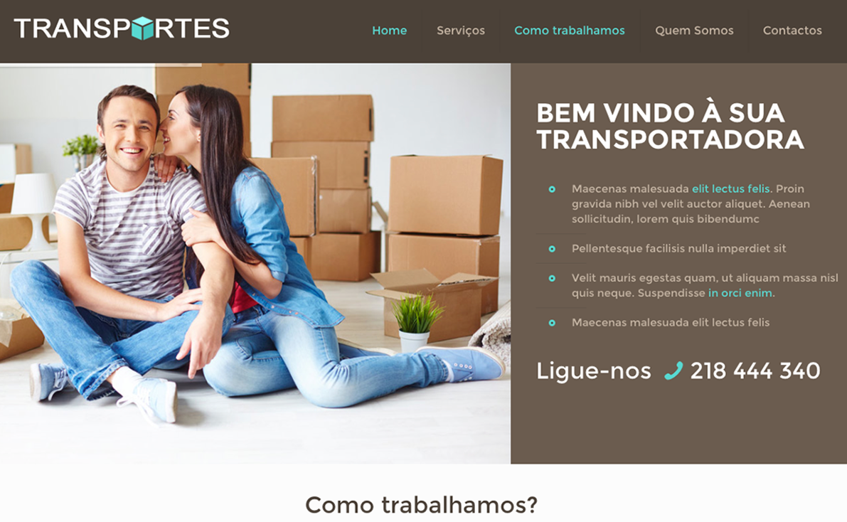 Website para transportadora