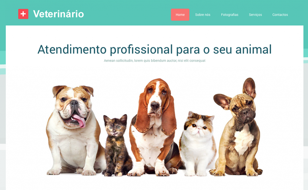 Website para veterinário